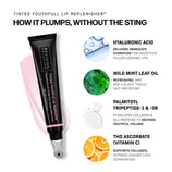 Load image into Gallery viewer, Tinted YouthFull Lip Replenisher®